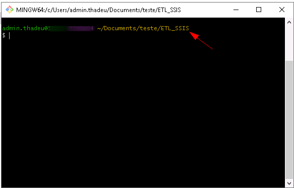 Terminal Git