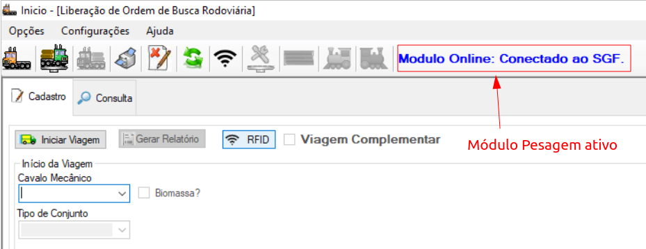 Modulo de Pesagem online